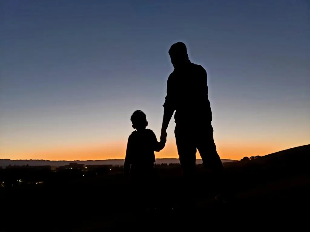 silhouette of father and son holding hands looking at the sunset